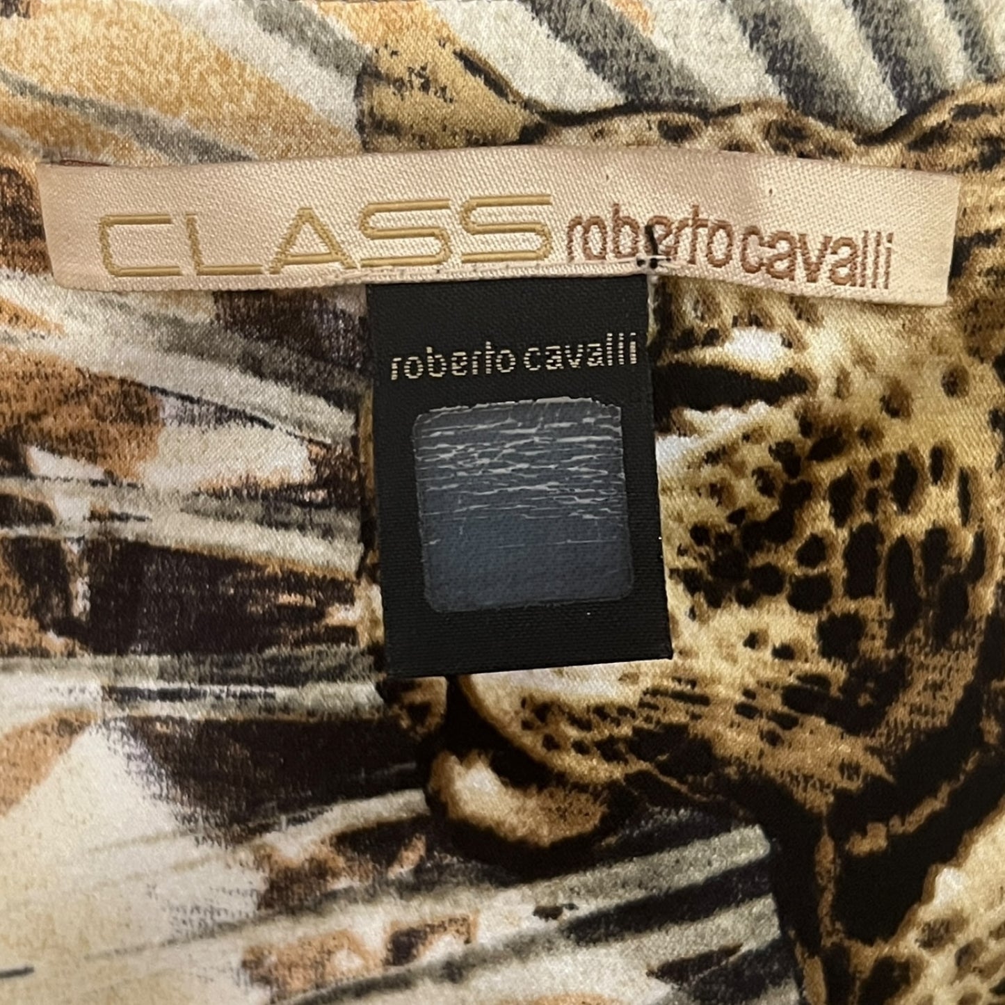 Roberto Cavalli Class S/S 2008 Jungle Print Silk Gown