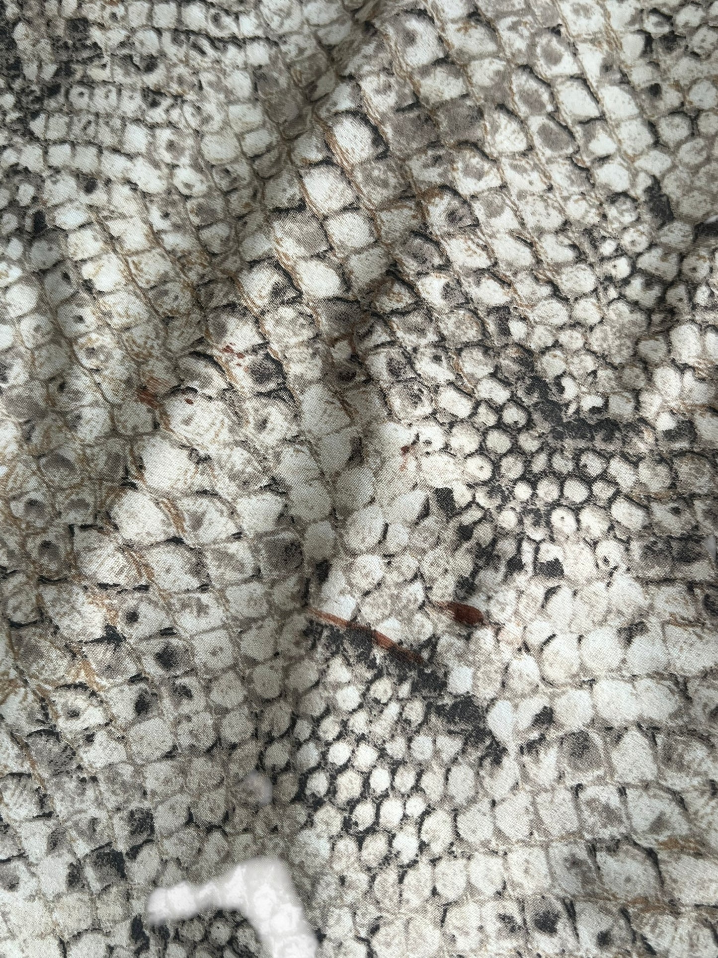 ROBERTO CAVALLI S/S 1998 Python Print Top and Maxi Skirt Set (L)