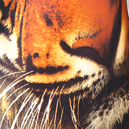 Roberto Cavalli F/W 2000 Tiger Silk Dress