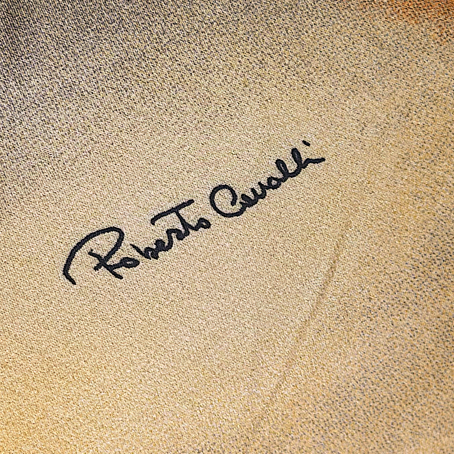 Roberto Cavalli F/W 2000 Tiger Silk Dress