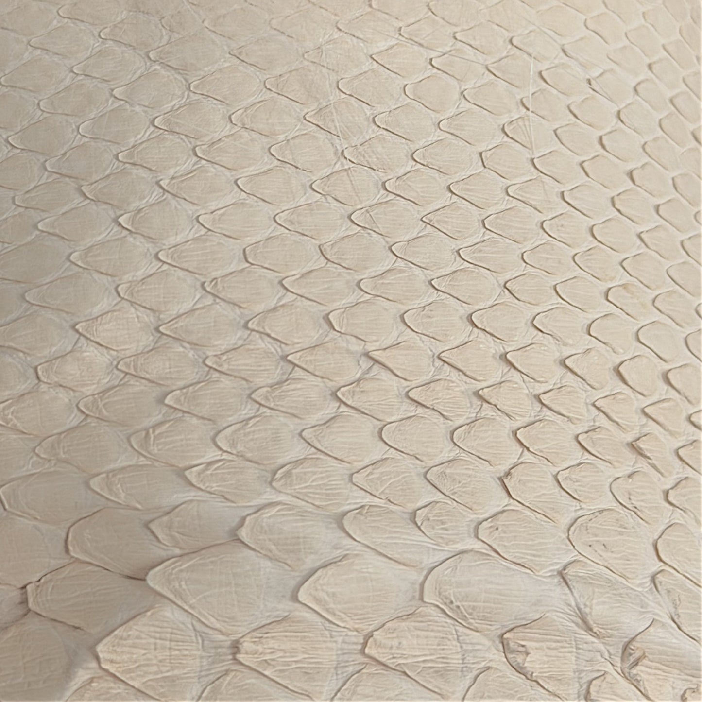 Roberto Cavalli F/W 2005 White Leather, Fox & Snake Coat