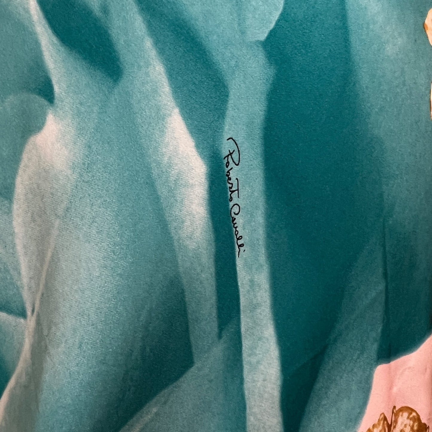 Roberto Cavalli S/S 2001 Elizabeth Taylor Eye Print Silk Dress