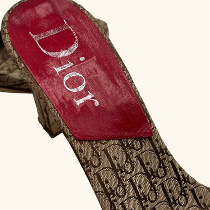 Christian Dior by John Galliano F/W 2004 Rasta Monogram Heeled Mules